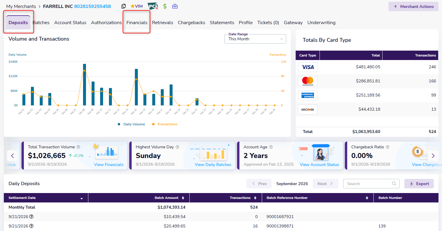 Monthly merchant performance data in the Financials tab